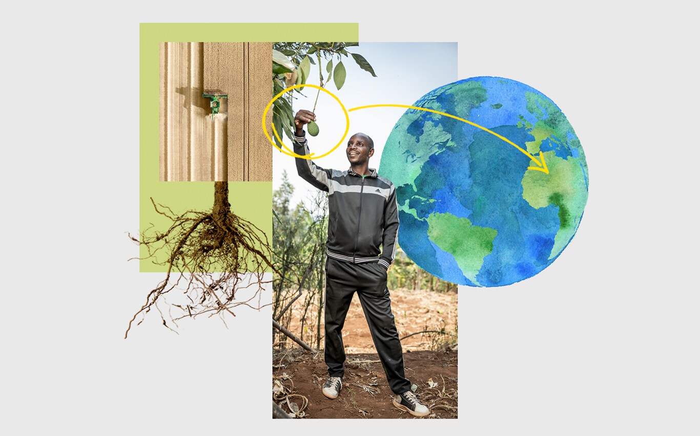 Εναέρια άποψη ενός ενσιρωτικού μηχανήματος της John Deere σε ένα χωράφι, ένας άνθρωπος που πιάνει ένα αβοκάντο που κρέμεται από ένα δέντρο και ένα βέλος που δείχνει προς την Αφρική σε μια απεικόνιση της Γης.